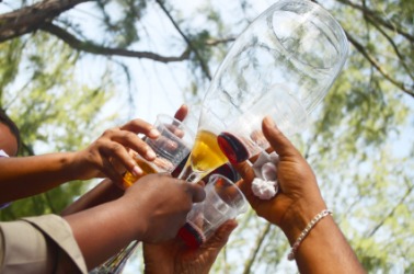 Salud! Salud!