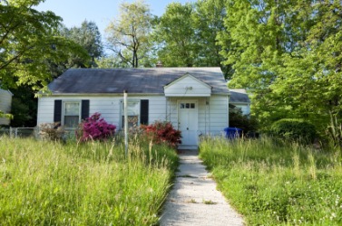 An unkempt yard. An unkempt yard.