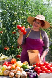 A vendor sells tomatoes at a farmer's market. A vendor sells tomatoes at a farmer's market.