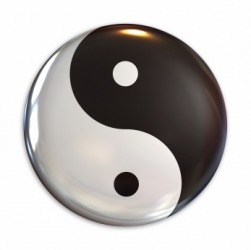 9252.yin-yang-symbol.jpg