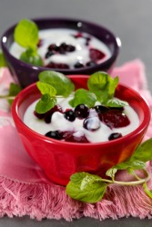 Two bowls of yogurt with berries. Two bowls of yogurt with berries.