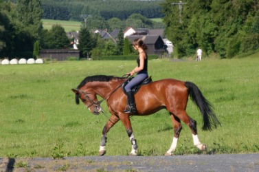 An example of a-cheval. An example of a-cheval.