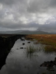 A bog under a stormy sky. A bog under a stormy sky.