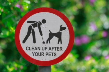 This sign says you need to clean your doggies ca-ca. This sign says you need to clean your doggies ca-ca.