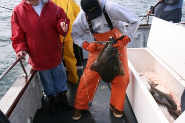 A deckhand working onboard a fishing boat. A deckhand working onboard a fishing boat.