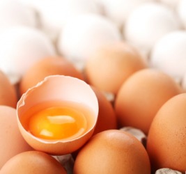 Eggs are delicate. Eggs are delicate.