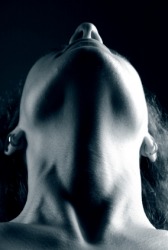Looking up at the human jaw. Looking up at the human jaw.