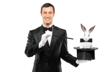 Was it magic that brought this rabbit out of the hat? Was it magic that brought this rabbit out of the hat?