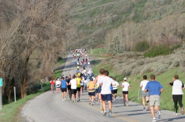 A group of people running a marathon. A group of people running a marathon.