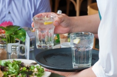 You need food and water to survive. You need food and water to survive.