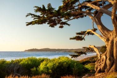 A lovely view of the Pacific Ocean. A lovely view of the Pacific Ocean.