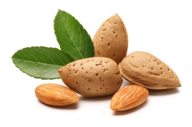 An almond is one type of seed. An almond is one type of seed.