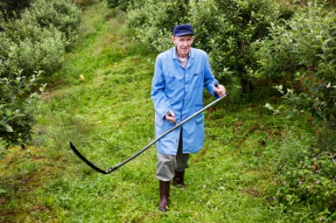 A farmer uses a scythe to cut grass. A farmer uses a scythe to cut grass.