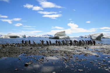 View of the Adelie Coast, Antartica. View of the Adelie Coast, Antartica.