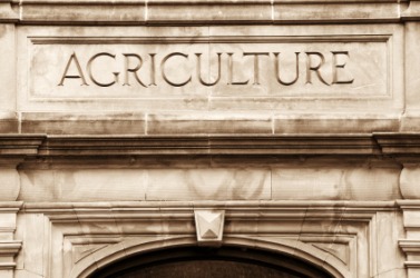A person who attends an agricultural college is called an aggie. A person who attends an agricultural college is called an aggie.