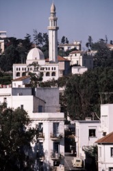 A view of the city of Algiers. A view of the city of Algiers.