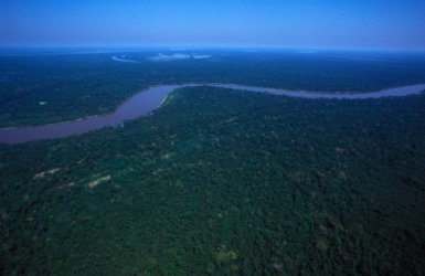An aerial view of the Amazon river and surrounding rainforest. An aerial view of the Amazon river and surrounding rainforest.