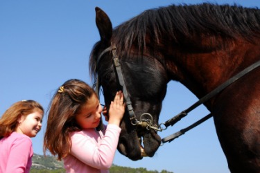 Both the girls and the horse are animals. Both the girls and the horse are animals.