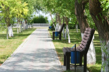 Benches beside an avenue. Benches beside an avenue.