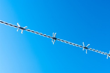 A strand of barbed wire. A strand of barbed wire.