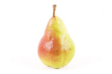 A Bartlett pear. A Bartlett pear.