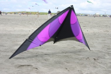 A batwing kite. A batwing kite.