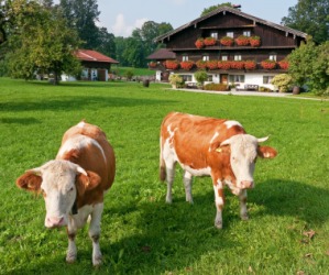 A farmhouse in Bavaria. A farmhouse in Bavaria.