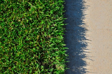 Bermuda grass growing next to a sidewalk. Bermuda grass growing next to a sidewalk.