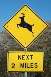 Beware of deer crossing this road. Beware of deer crossing this road.