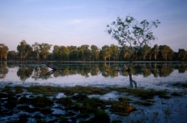 Sandy Creek Billabong in Australia. Sandy Creek Billabong in Australia.