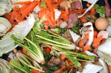This pile of kitchen scraps is biodegradable. This pile of kitchen scraps is biodegradable.