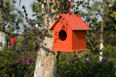A red birdhouse hanging from a tree. A red birdhouse hanging from a tree.