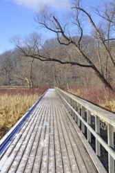 A boardwalk over a marsh. A boardwalk over a marsh.