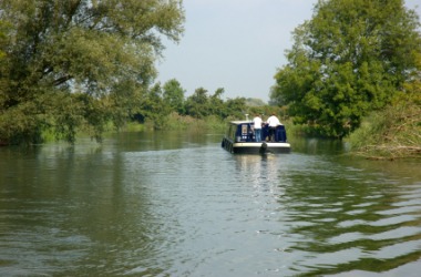 Boating on a river. Boating on a river.