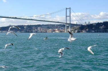The Bosporus Bridge crossing the Bosporus strait. The Bosporus Bridge crossing the Bosporus strait.