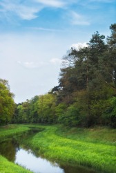A winding brooklet. A winding brooklet.