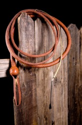 A coiled bullwhip. A coiled bullwhip.