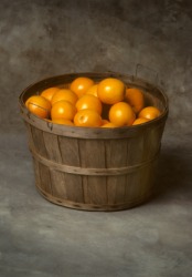This bushelbasket contains a bushel of oranges. This bushelbasket contains a bushel of oranges.
