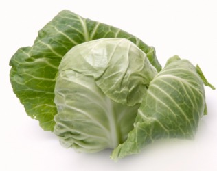 A head of green cabbage. A head of green cabbage.