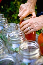 A woman canning tomato sauce. A woman canning tomato sauce.