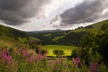 A beautiful valley in Carmarthenshire. A beautiful valley in Carmarthenshire.
