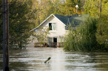 This flood is a catastrophe. This flood is a catastrophe.
