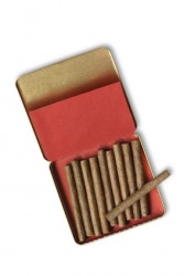 Cigarillos in a case. Cigarillos in a case.