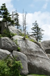 Boulders on Clingmans Dome. Boulders on Clingmans Dome.
