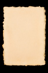 A piece of paper with a deckle edge. A piece of paper with a deckle edge.