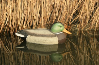 A duck decoy. A duck decoy.