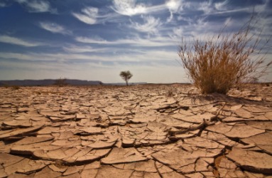 A desolate landscape. A desolate landscape.