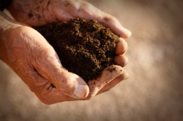 A handful of dirt. A handful of dirt.