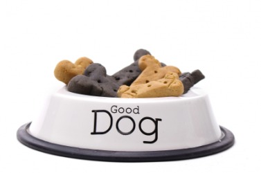 Dog biscuits in a bowl. Dog biscuits in a bowl.