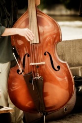 A musician playing a bull fiddle or double bass. A musician playing a bull fiddle or double bass.
